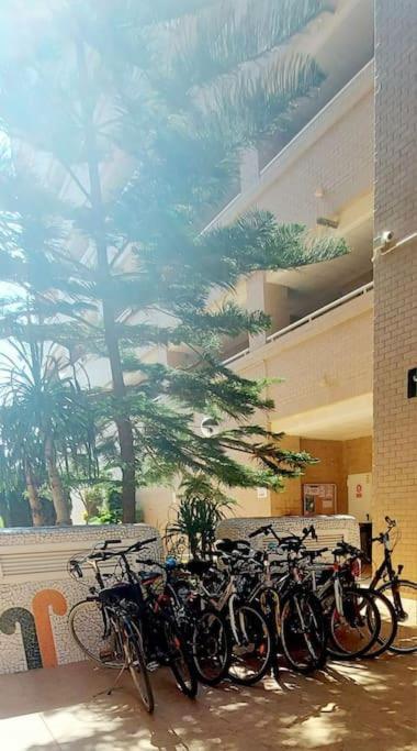 Apartamento Oropesa Del Mar- Marina D'Or- Magic World Vt30371Cs Екстер'єр фото